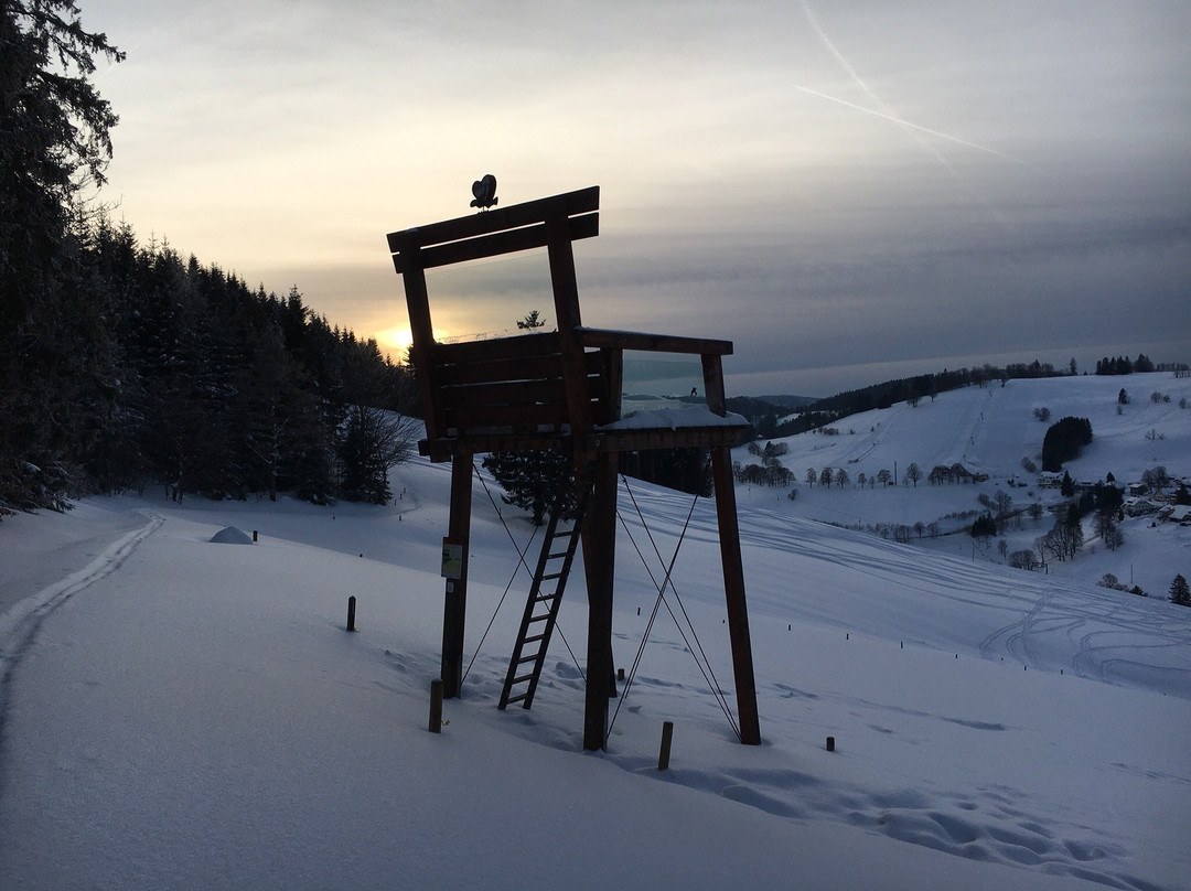 Nordic-Center Notschrei-托特瑙必去景点