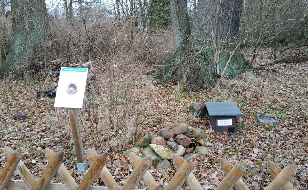 Kurpark-巴特贝文森必去景点