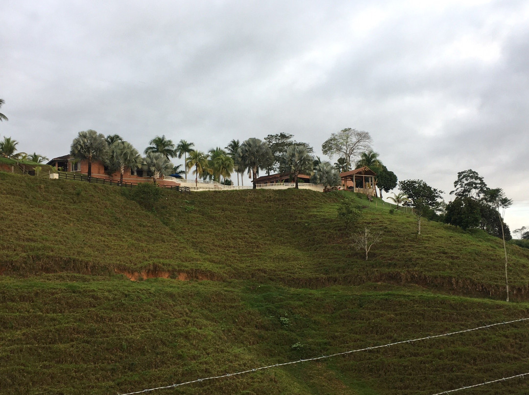 La Mercedes旅游攻略图片