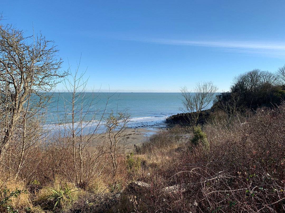 East Cliff and Warren Country Park-福克斯通必去景点