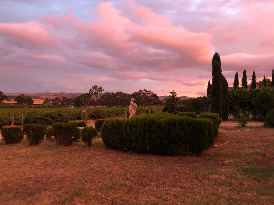 巴罗莎西拉乡村酒店主图