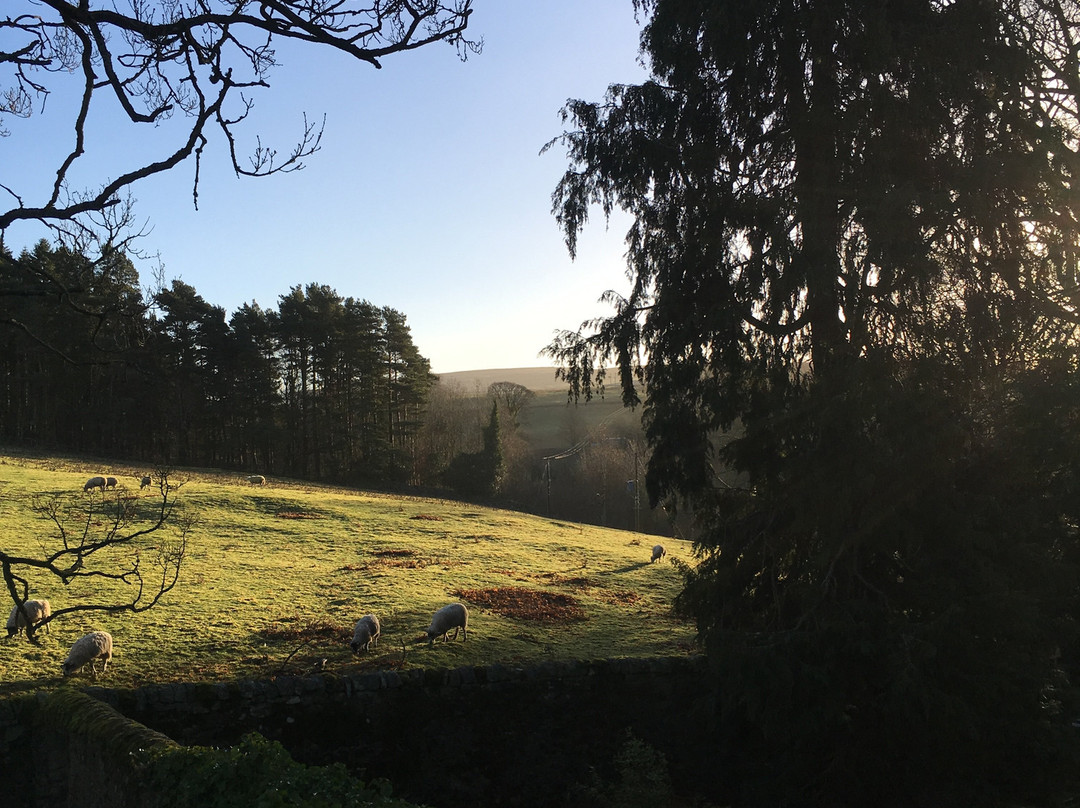 劳拜尔庄园乡村别墅酒店主图