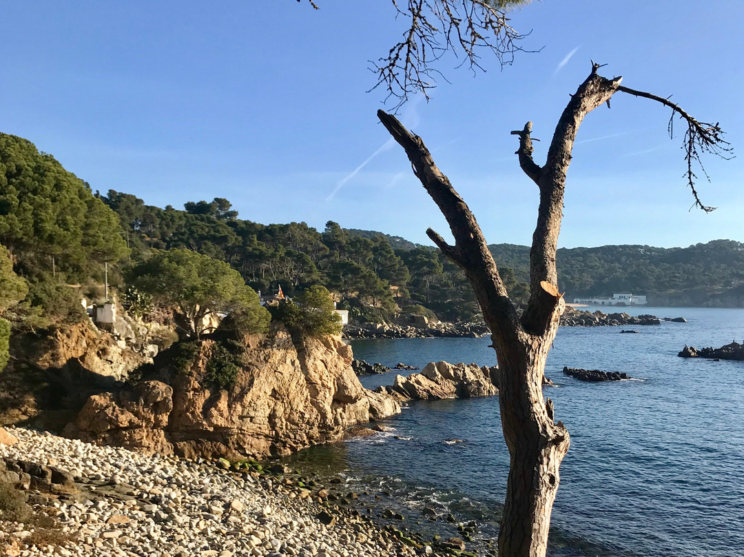 Mont Escape-巴塞罗那必去景点