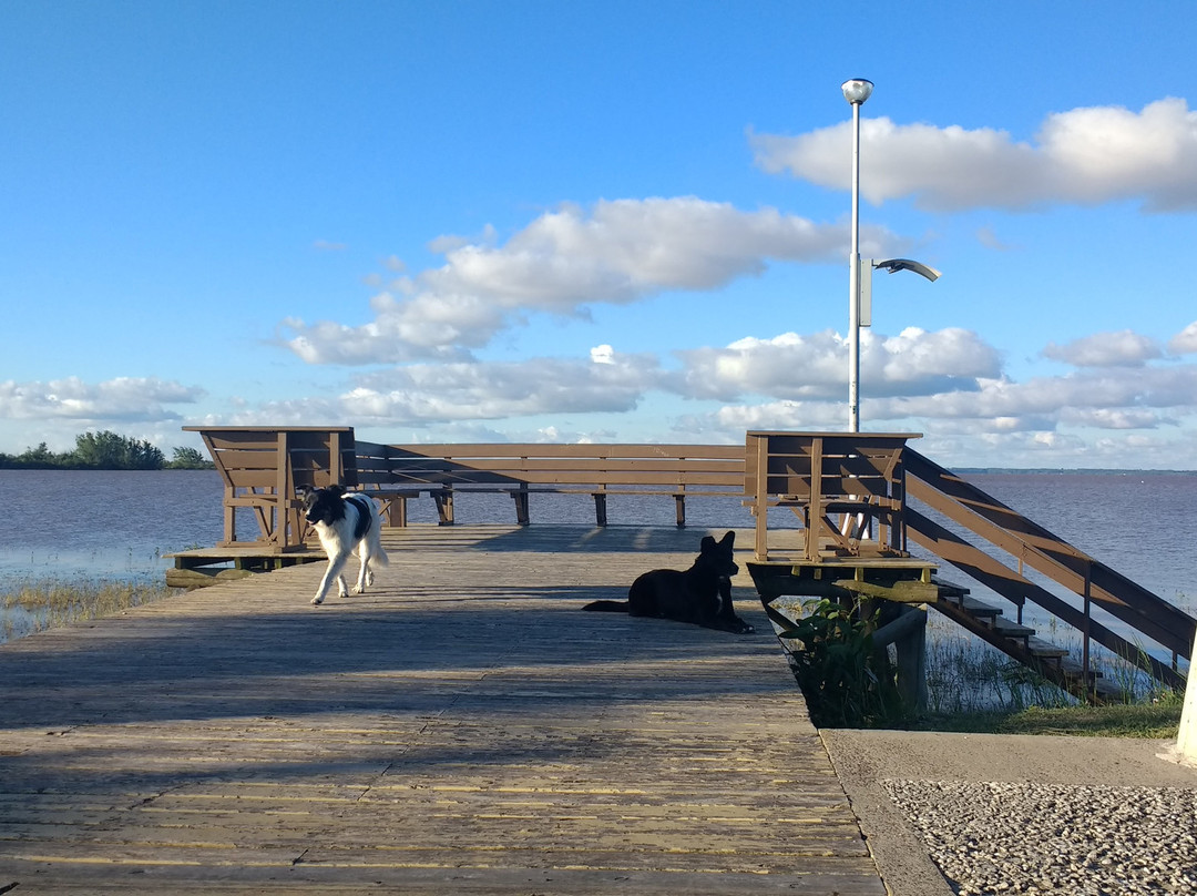 Costanera de Federaciòn景点图片