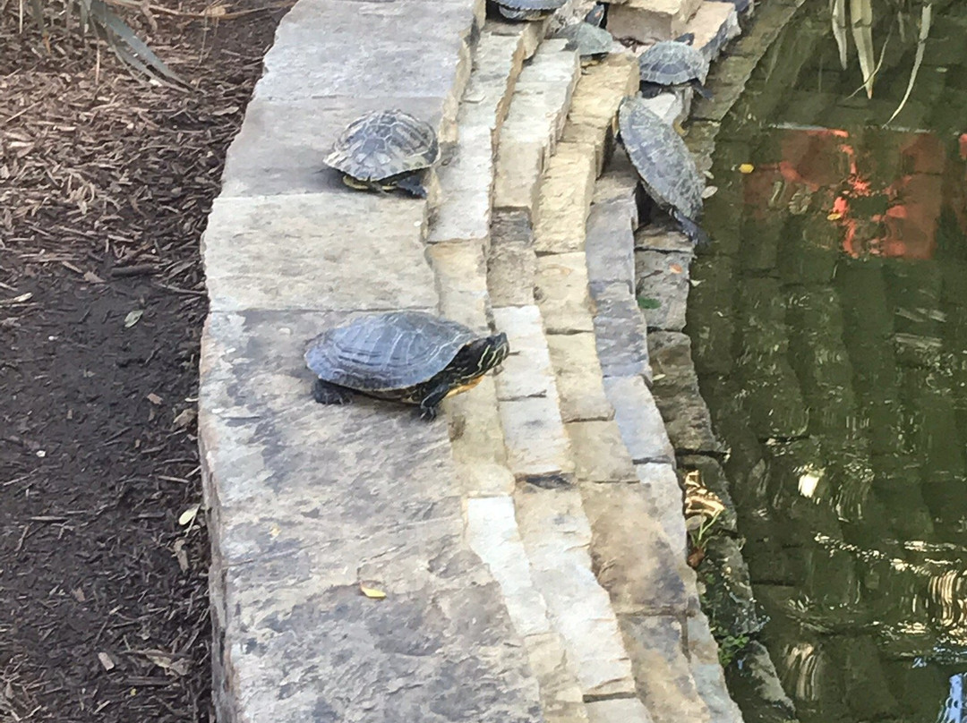 Valencia Town Center-圣克拉丽塔必去景点