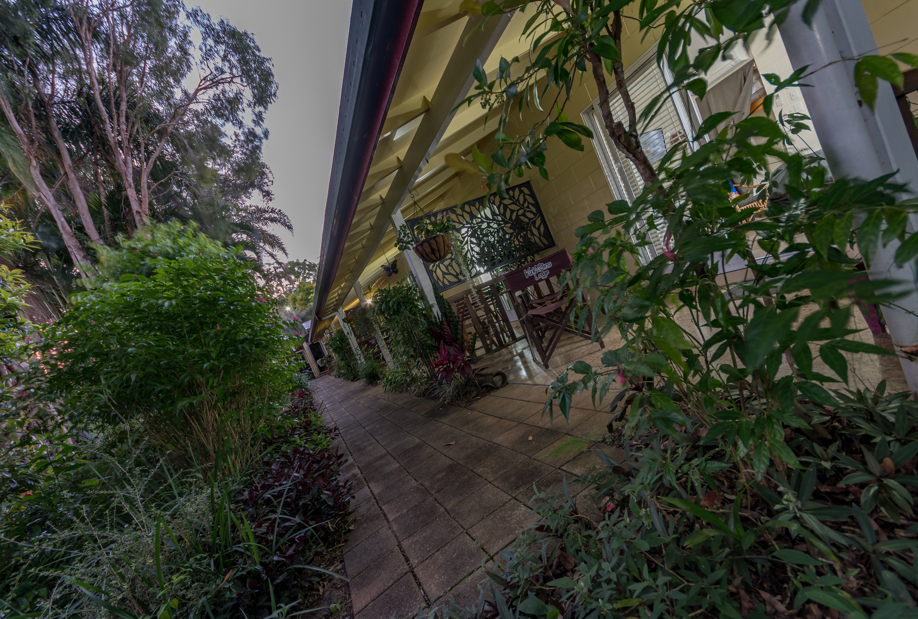 Kookaburra Lodge Motel Yungaburra-官方