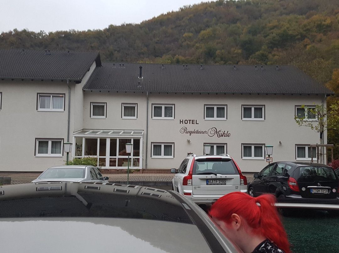 Landhotel Ringelsteiner Muehle主图