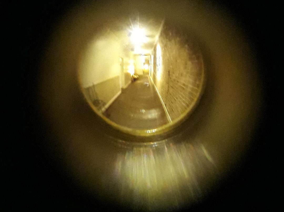 The Hotel Rhea主图