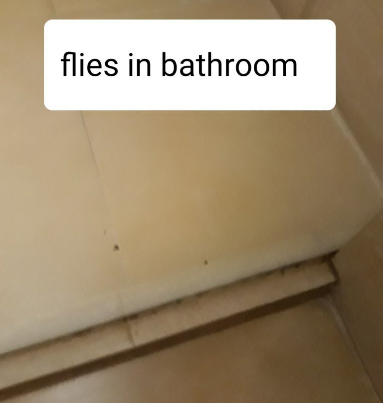 The Lalit Traveller Hotel主图