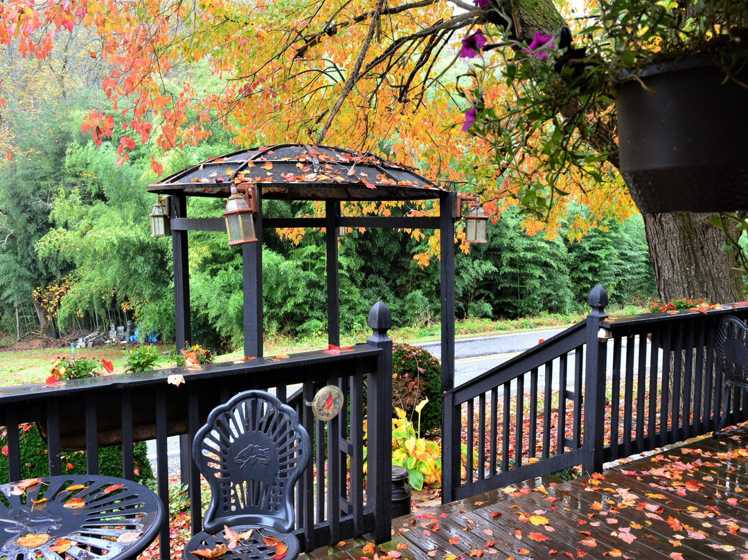 Stoney Fork Campground and B&B主图