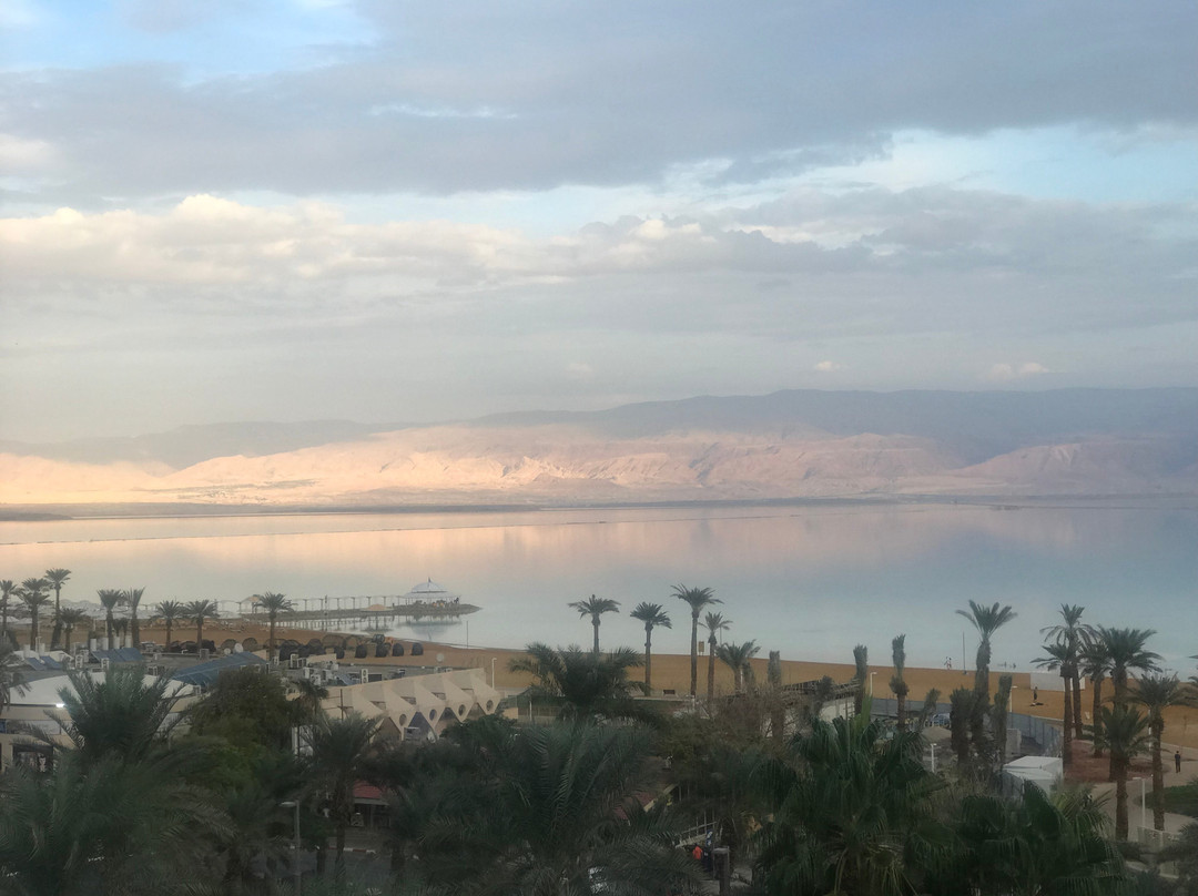 伊斯罗特尔贾尼死海酒店主图