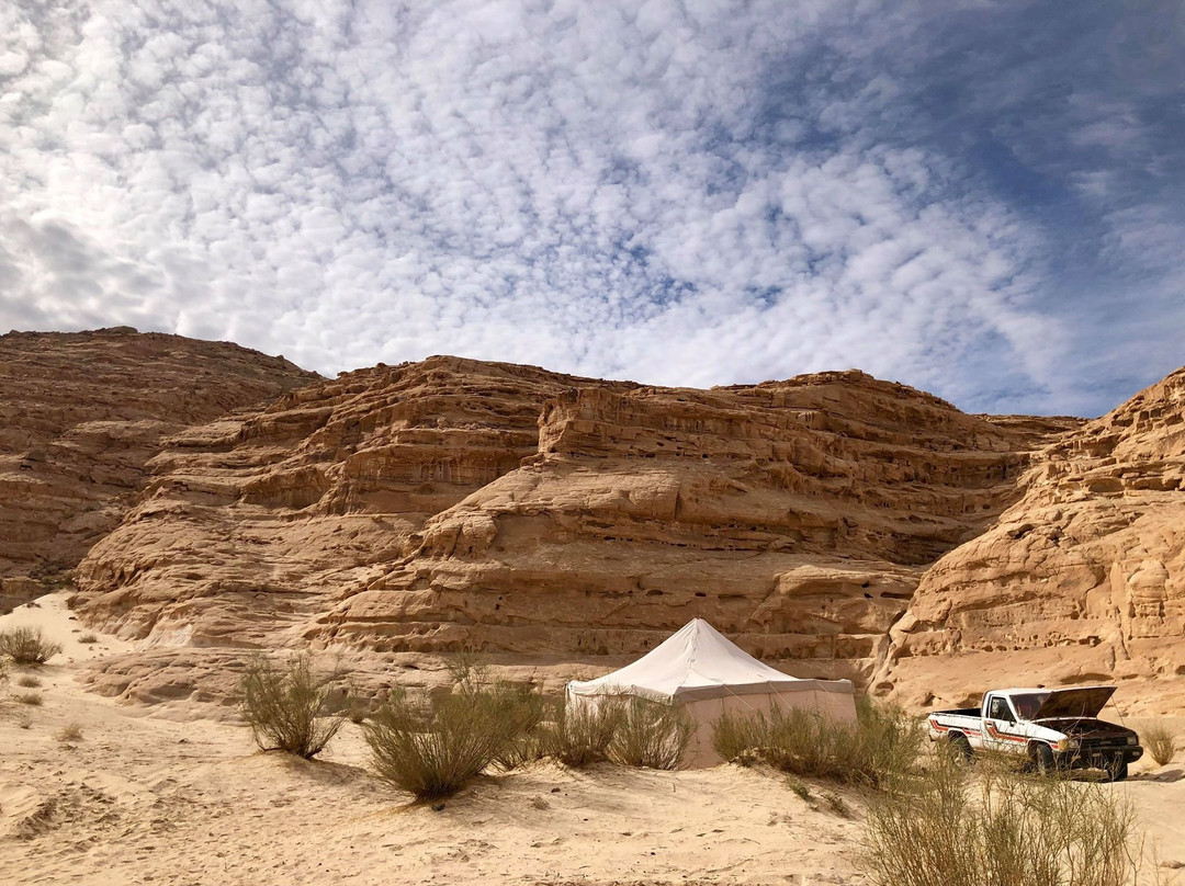 Sinai Safari - Day Tours景点图片
