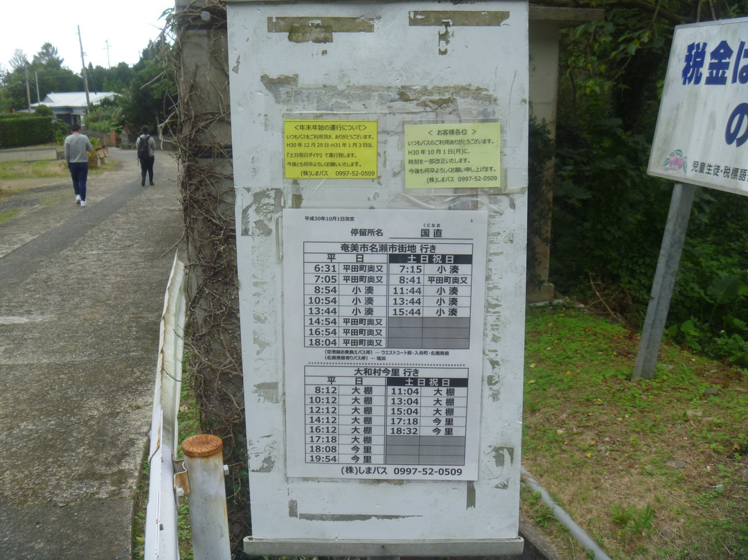 Shima Bus-奄美市必去景点