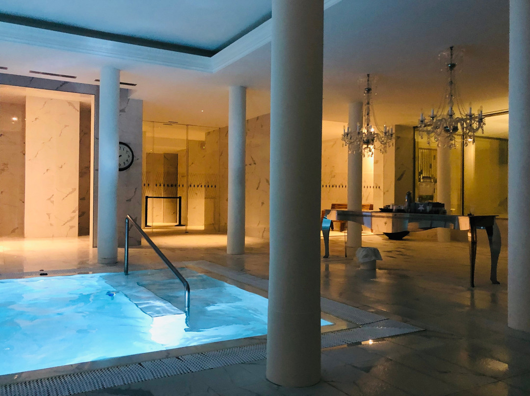 Hotel Balneari Termes Orion主图