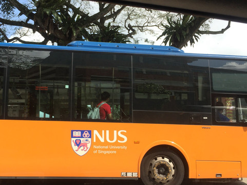 National University of Singapore-新加坡必去景点