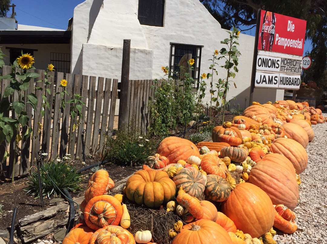 Die Pampoen Padstalletjie-伍斯特必去景点