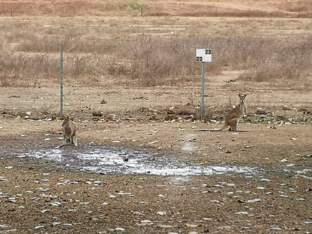 Mt Bundy Station主图