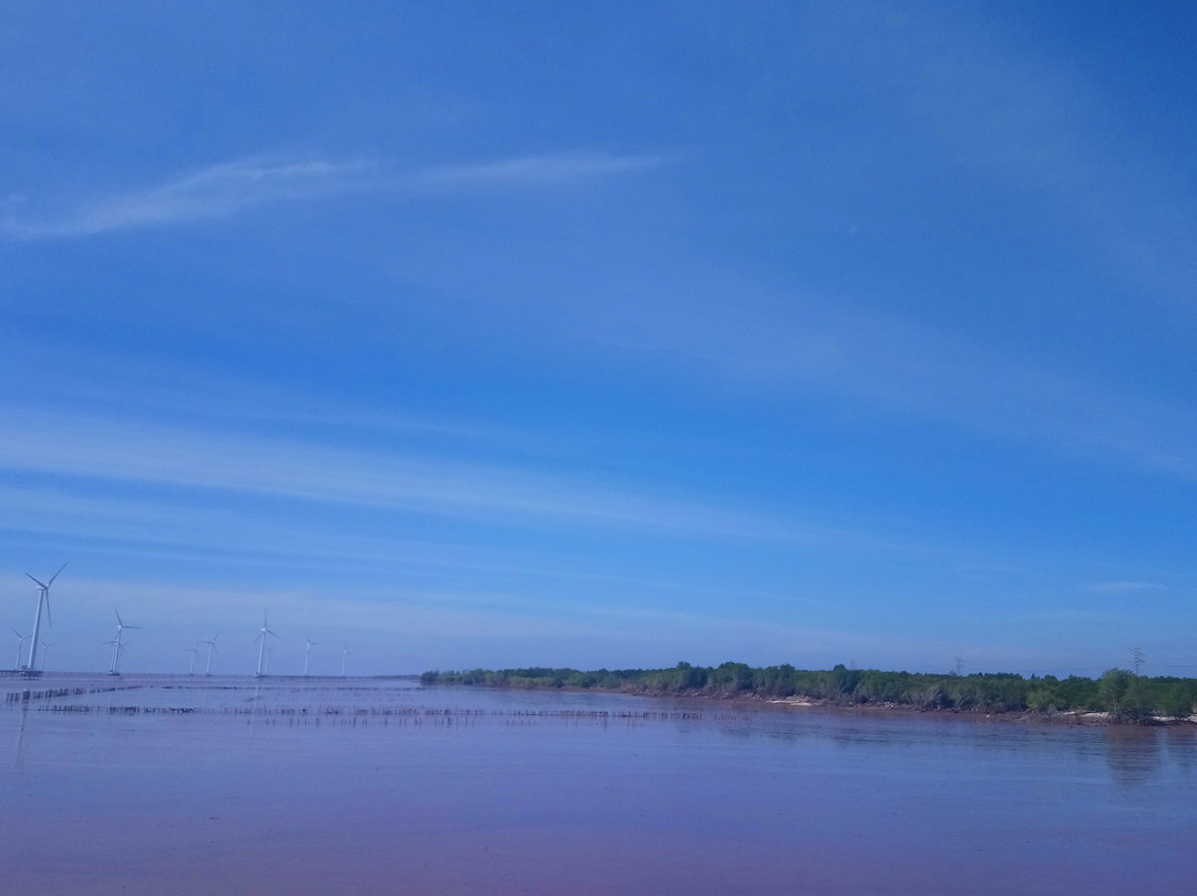 Nha May Dien Gio Bac Lieu-Bac Lieu必去景点