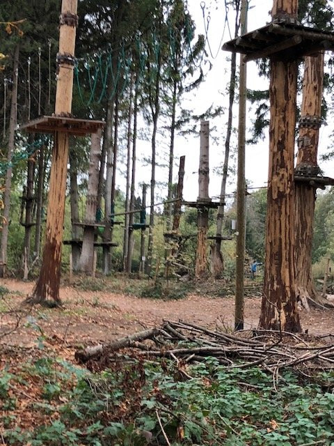 Kletterwald Niederrhein景点图片
