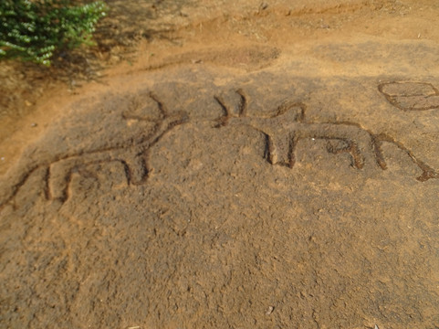 Prehistoric Rock Art Gallery-Rivona必去景点
