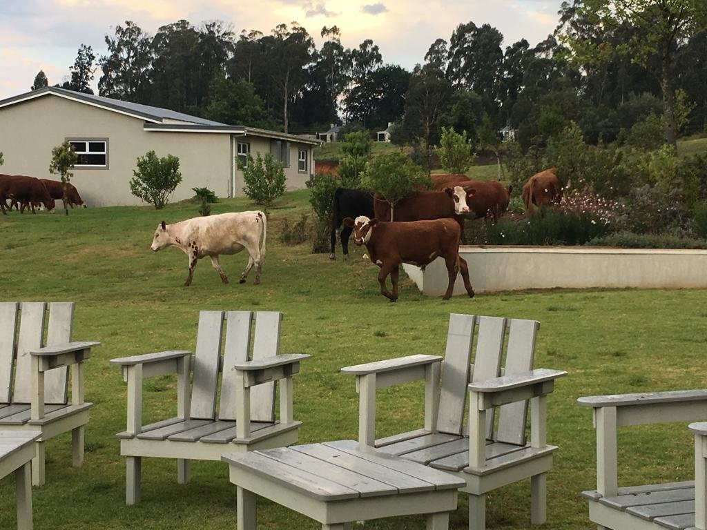 Fordoun Hotel & Spa主图