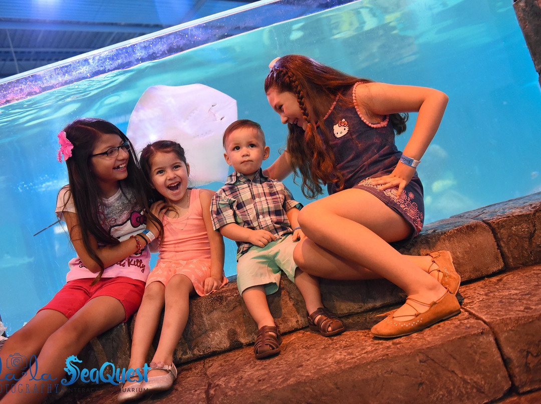 NorCal Aquarium & Wildlife-佛森必去景点