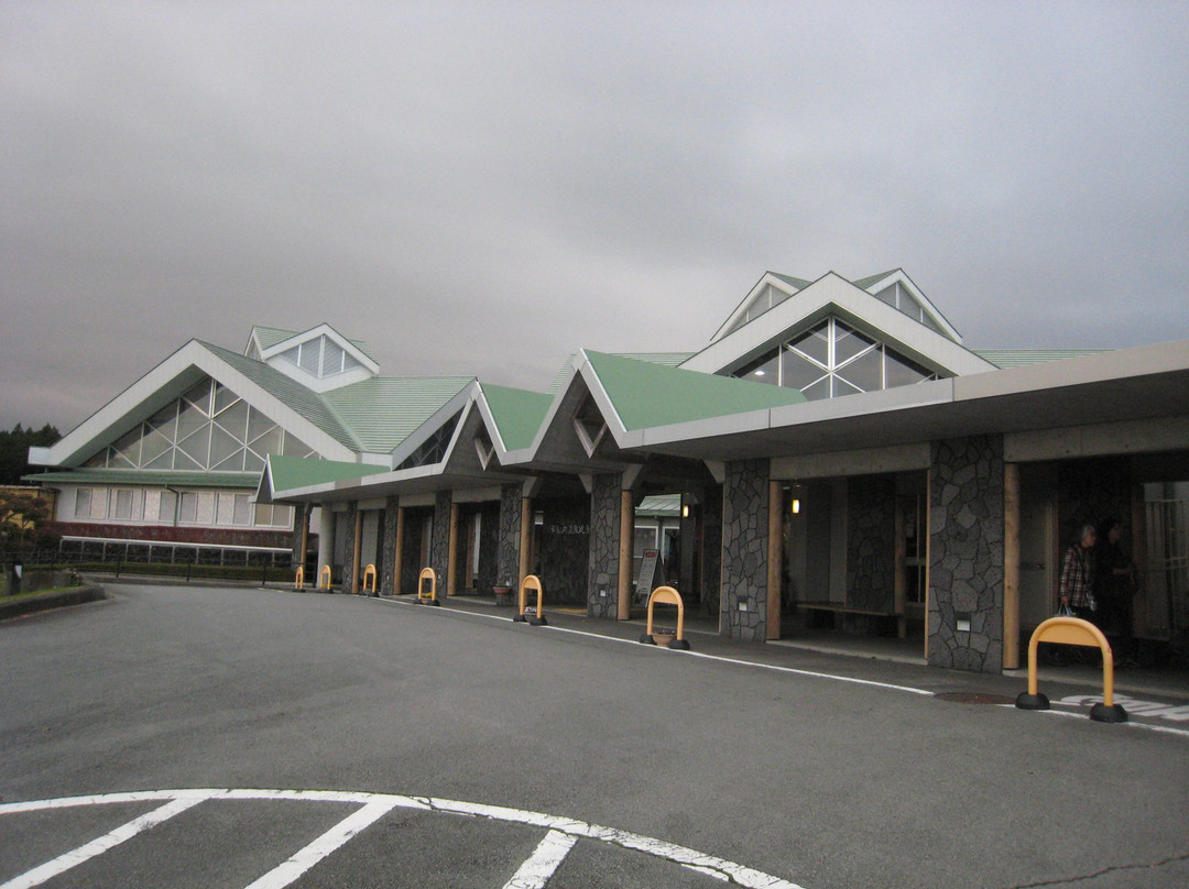 Otainai Onsen Health Center-御殿场市必去景点