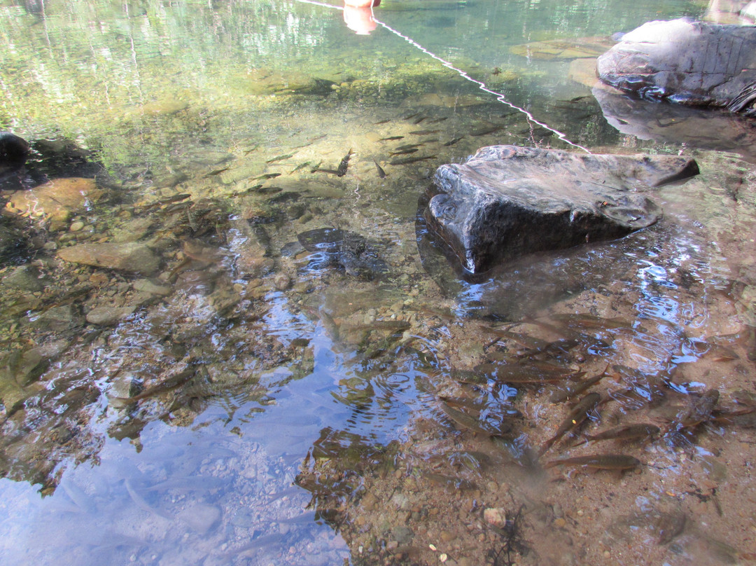 Khlong Nonsi Waterfall景点图片