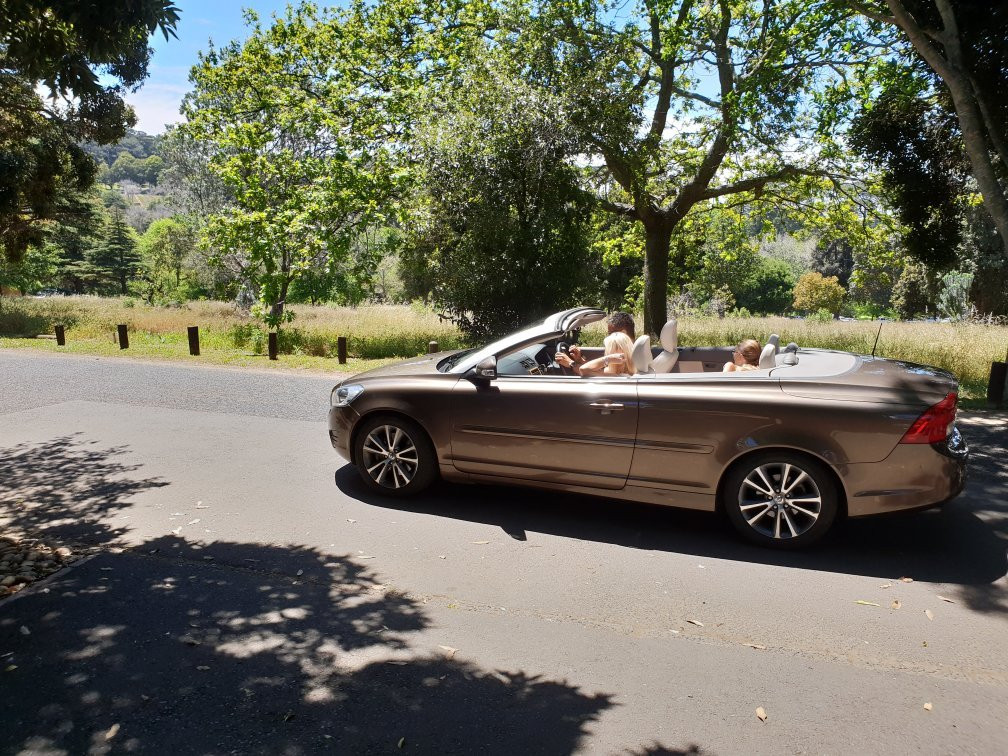 Wynberg Park-Wynberg必去景点