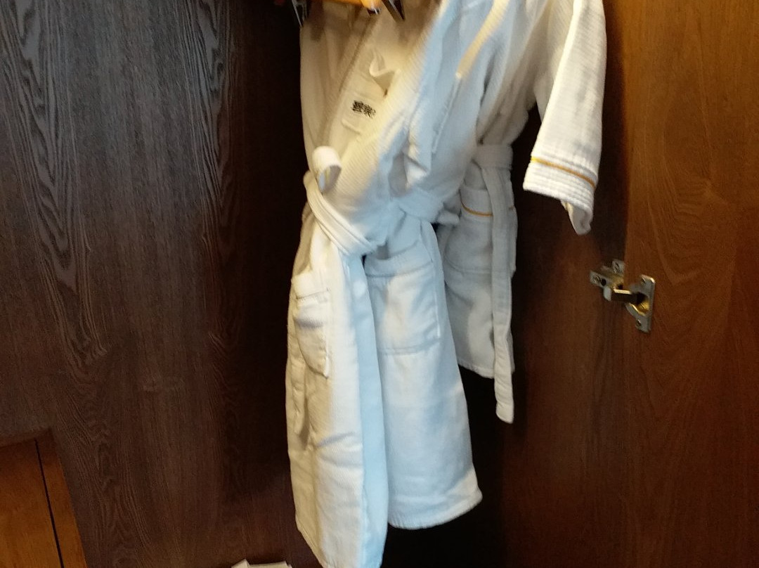 从化碧泉大酒店主图