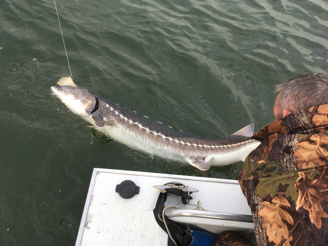 Double Header Sport Fishing-米逊必去景点