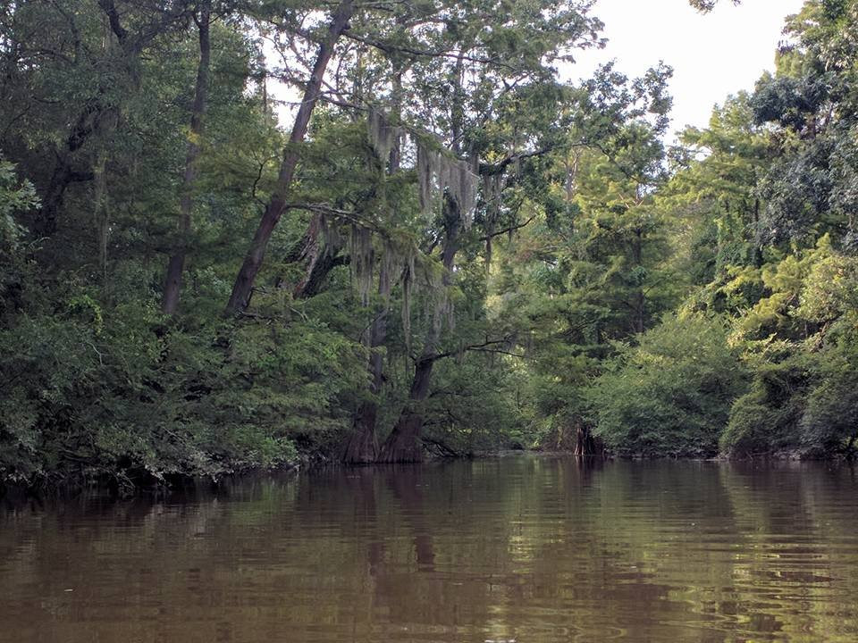 Village Creek State Park-Lumberton必去景点