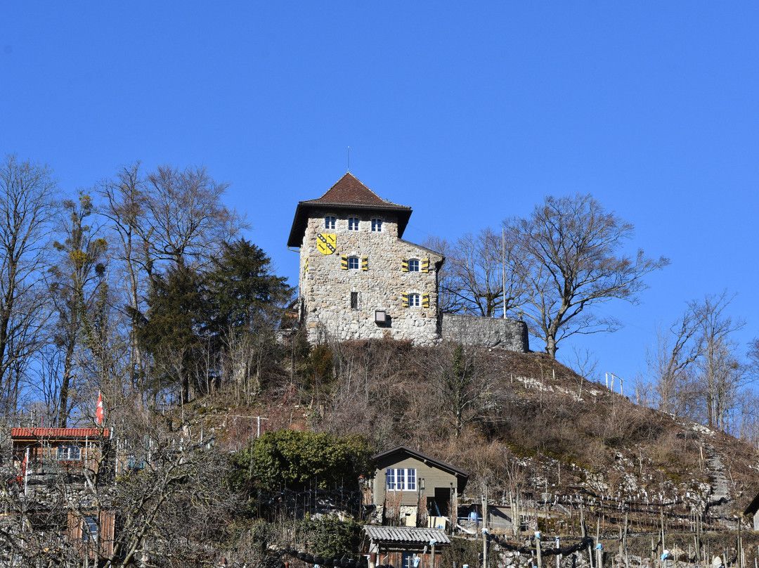 Niederurnen餐馆和美食-Schlössli