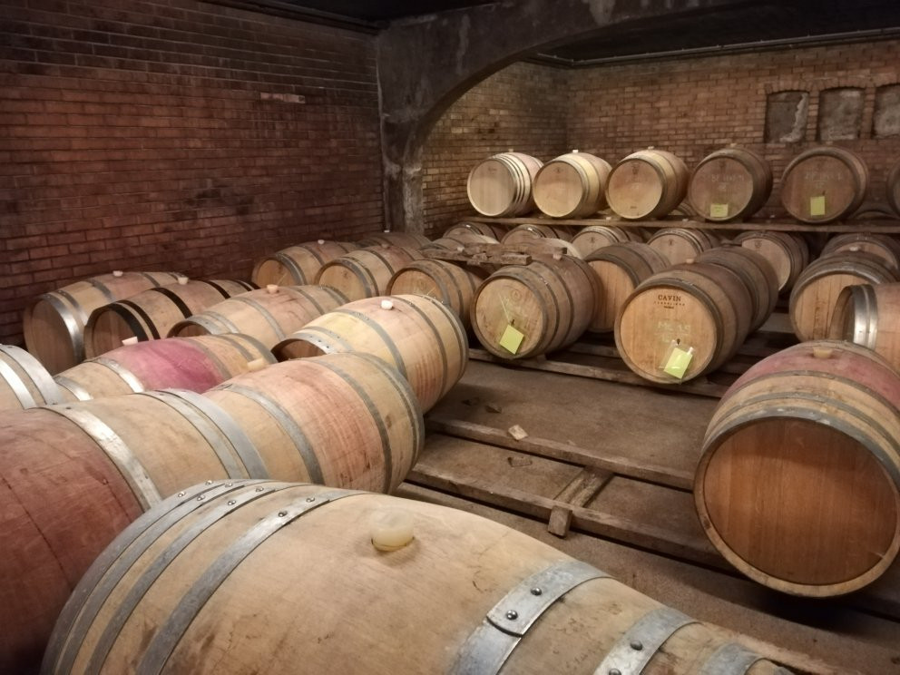 Weingut Feiler-Artinger-Rust必去景点