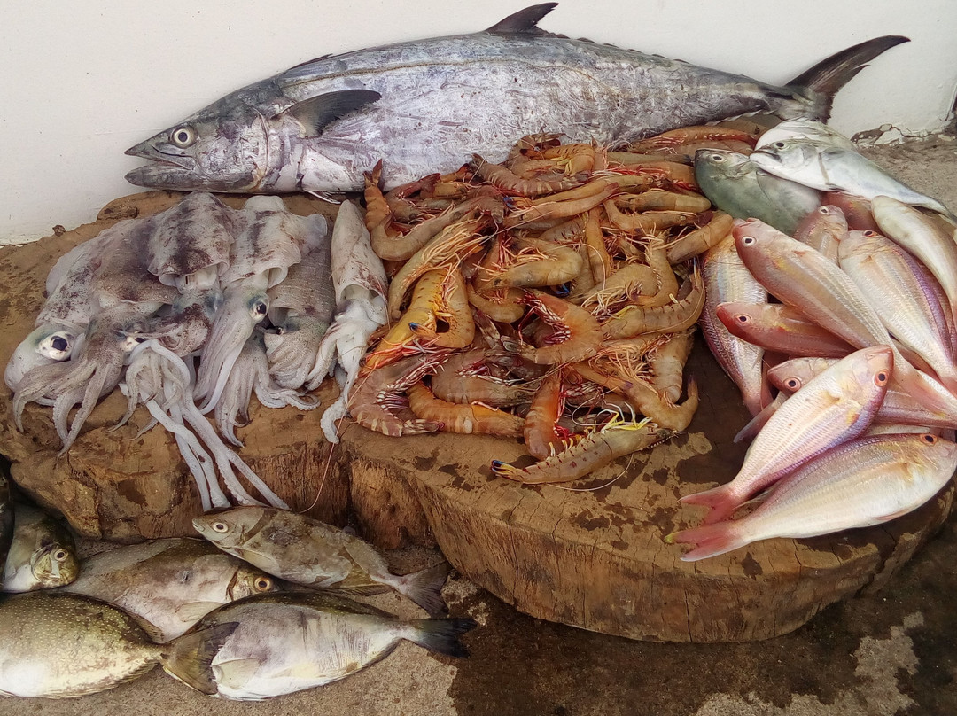 HJB Pan de Azucar主图