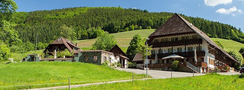 Landgasthaus Gruener Baum主图