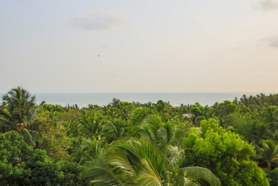 The White feather Hotel主图