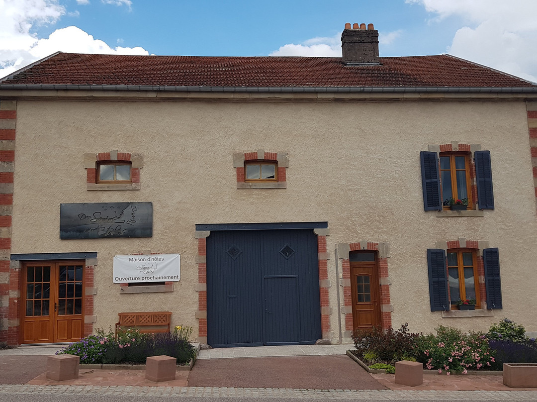 Des Sapins Aux Etoiles主图