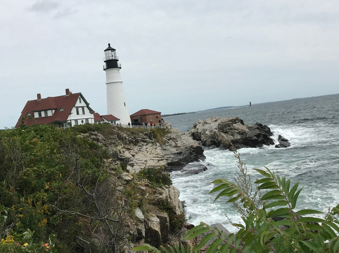 Shorelands Guest Resort主图