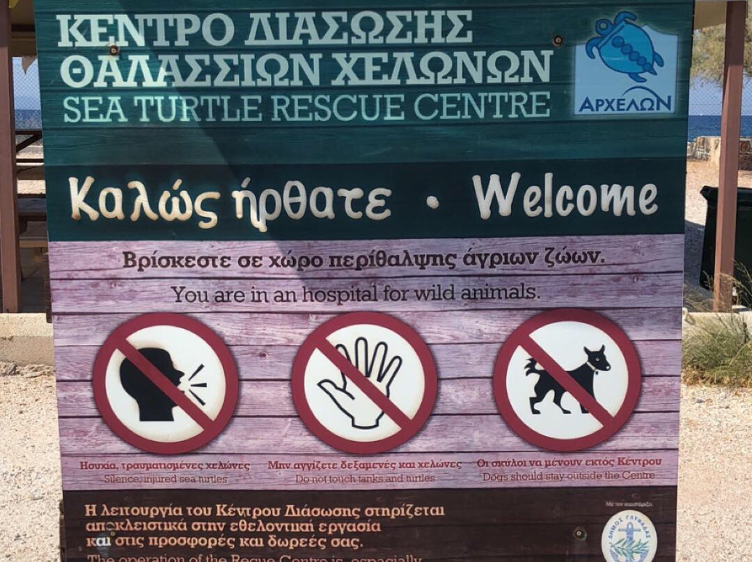 Archelon Sea Turtle Protection Society of Greece景点图片
