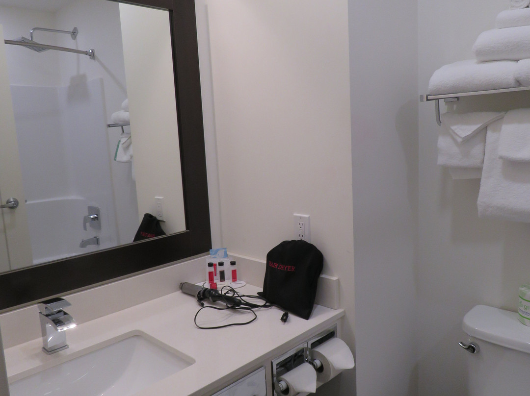 Ramada by Wyndham Revelstoke主图