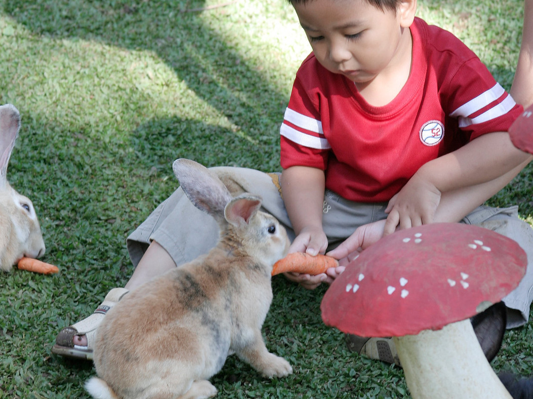 Rabbit Village景点图片