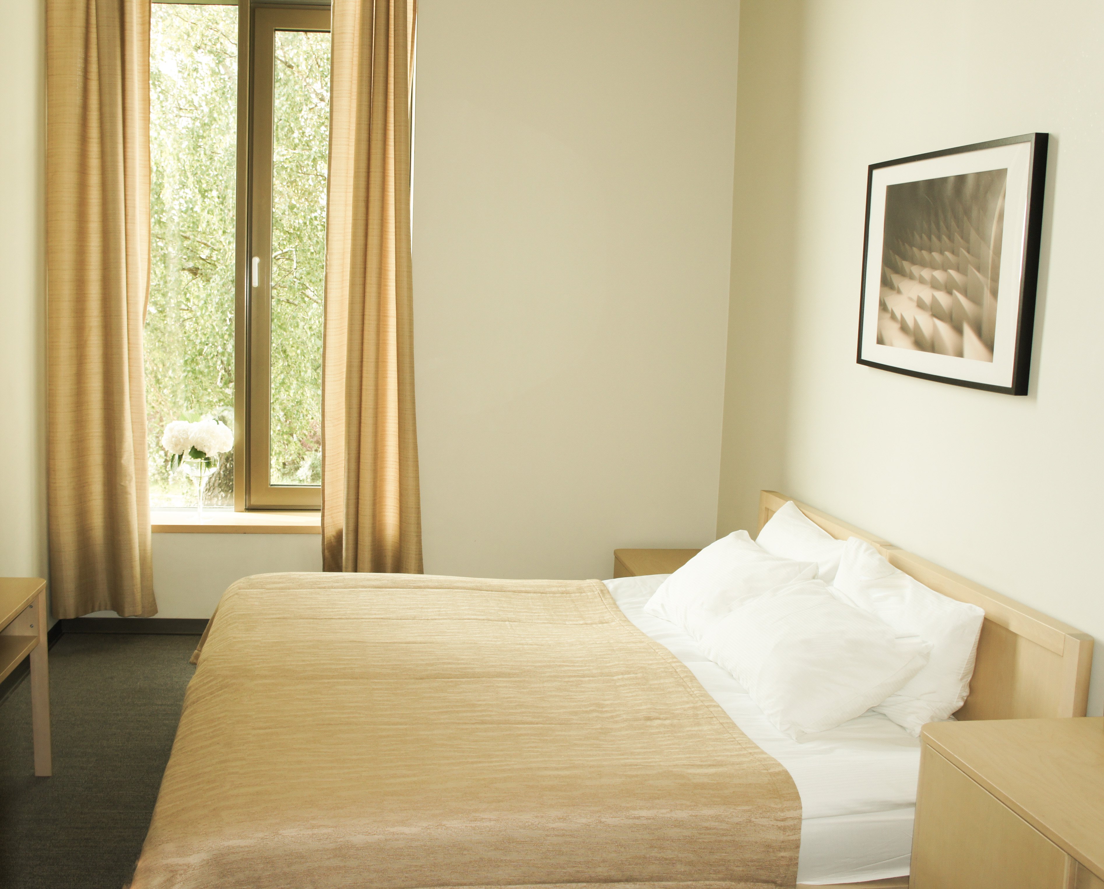 Zaliasis Slenis Hotel-官方