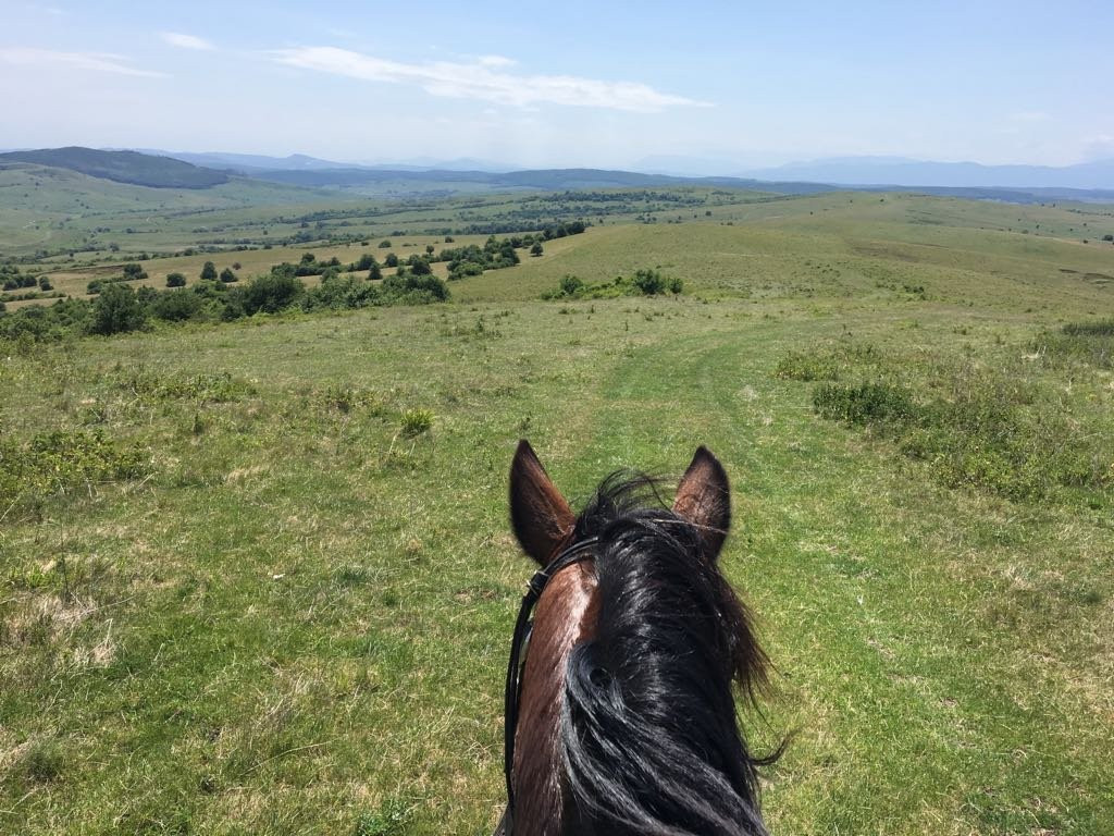 Transylvania on Horseback景点图片