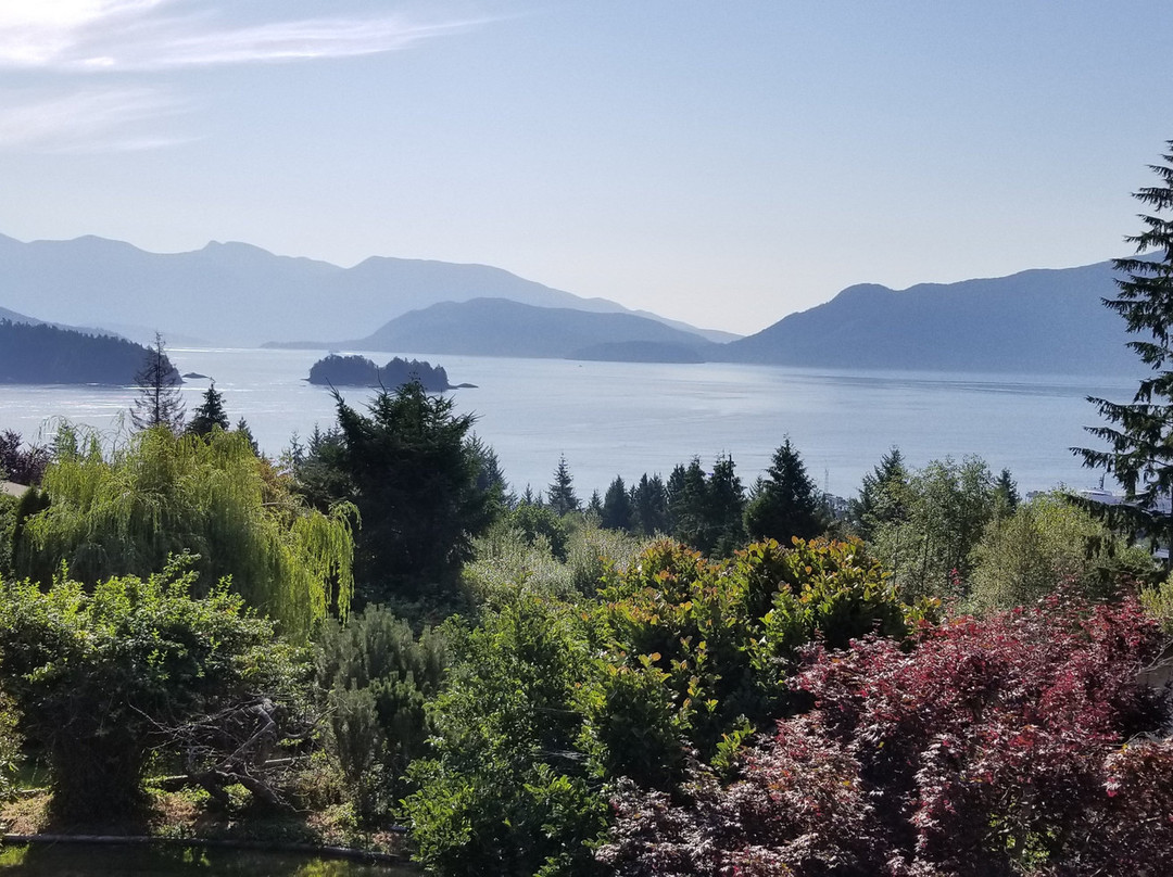 Arcturus Retreat B&B主图