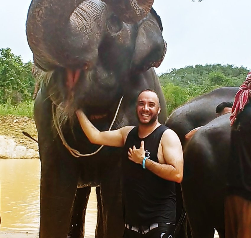 Elephants At 9 Dee Phuket景点图片