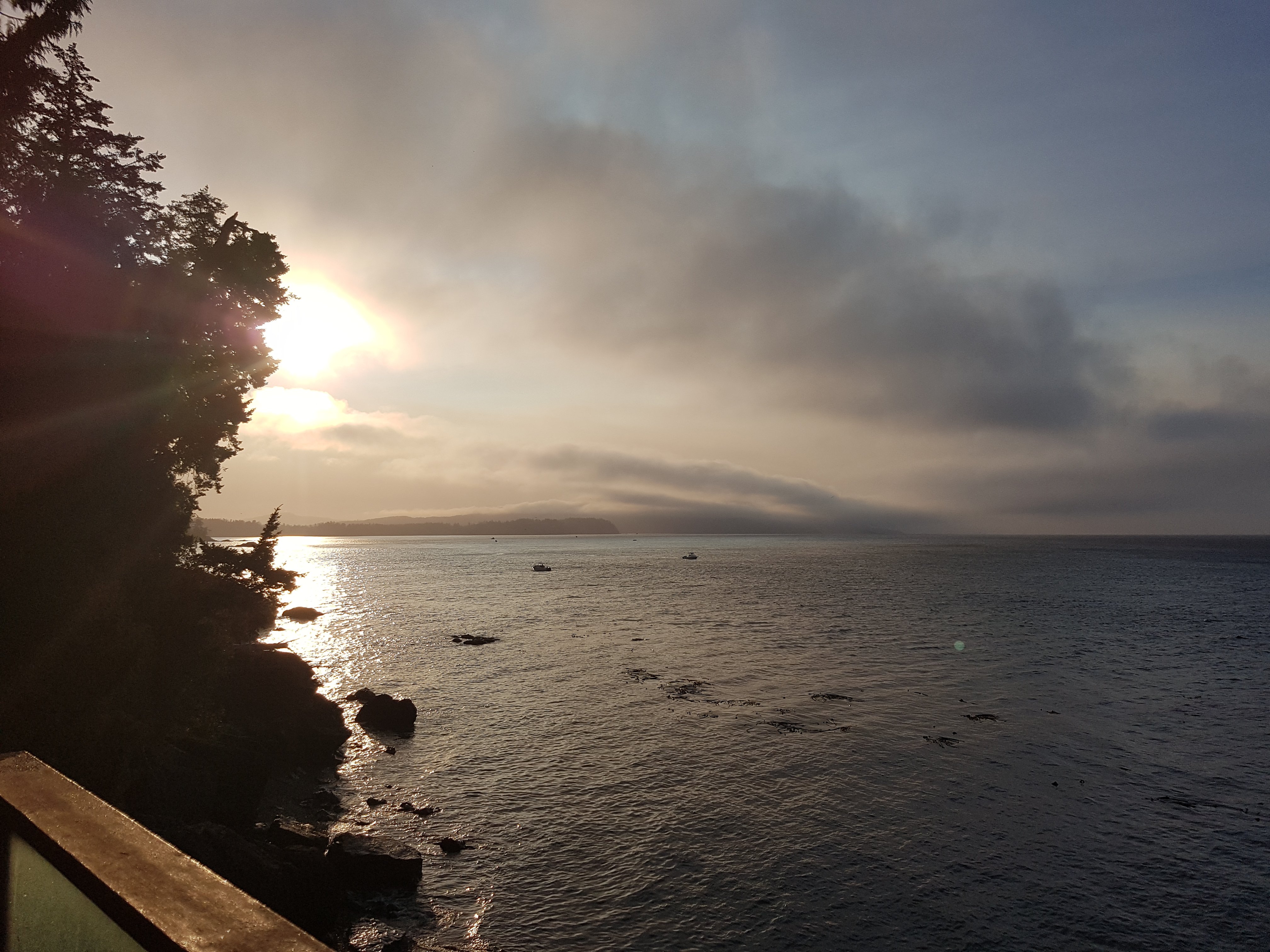 Eagle Cove Beachfront Guest Suites-浴室