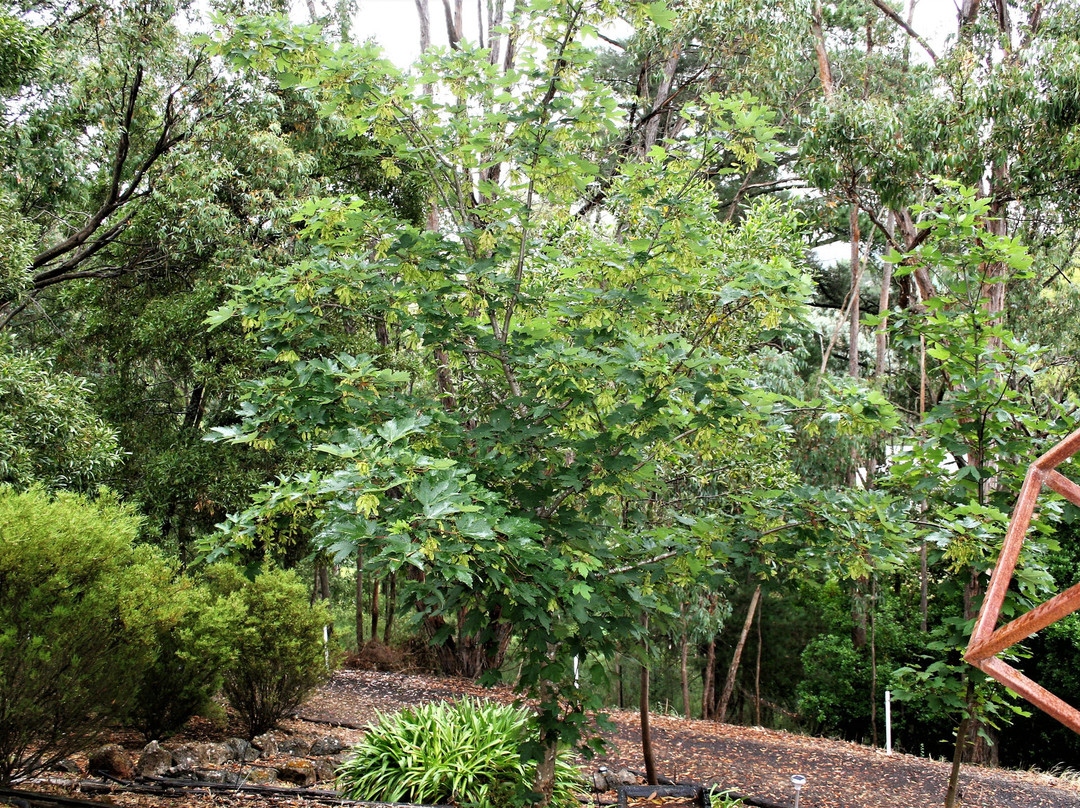 Tangenong Cottages主图