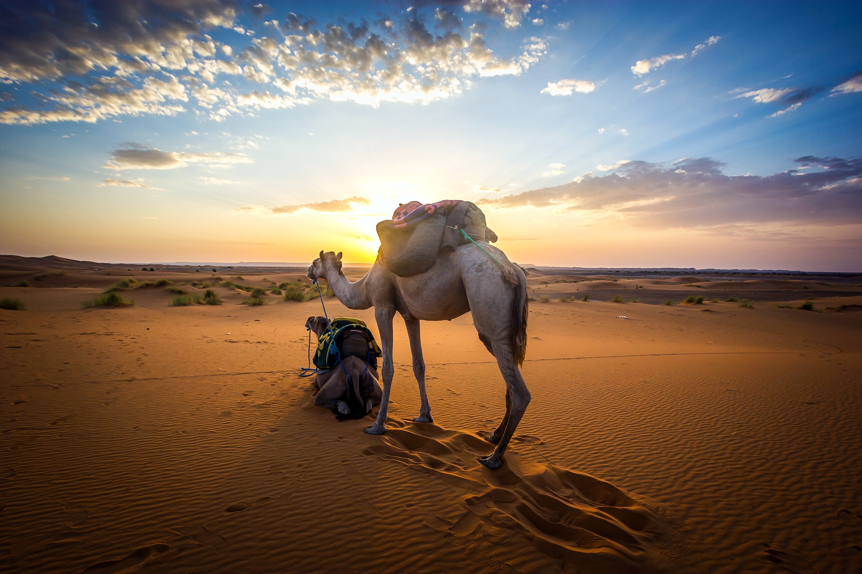 Khamlia Desert Bed & Breakfast-官方
