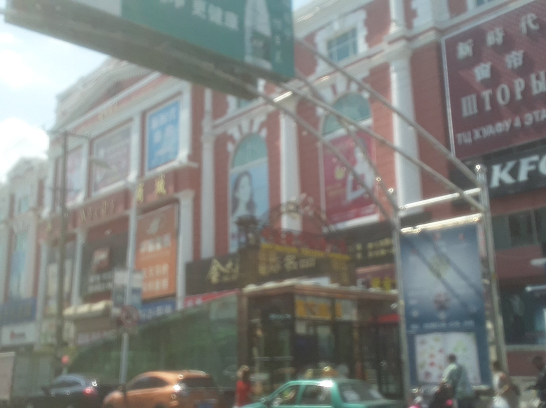 中央商业步行街-黑河市必去景点